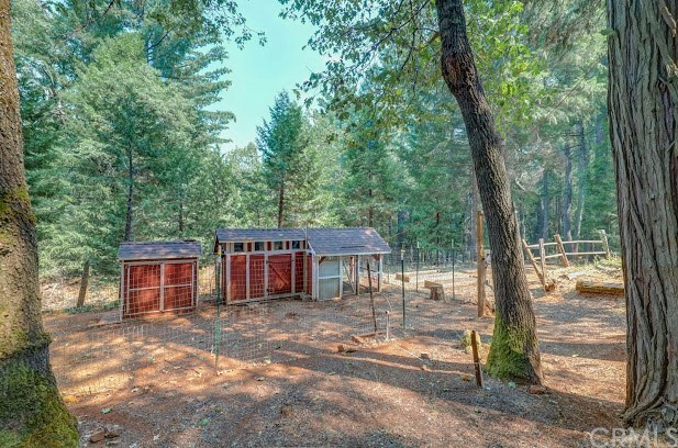 16772 Homeplace Loop Forest Ranch, CA 95942 - Photo 37 of 52 Gallery Image 37