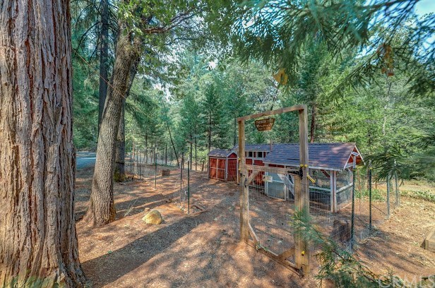 16772 Homeplace Loop Forest Ranch, CA 95942 - Photo 38 of 52 Gallery Image 38