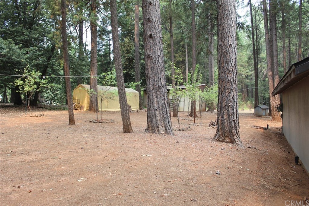 16772 Homeplace Loop Forest Ranch, CA 95942 - Photo 46 of 52 Gallery Image 46