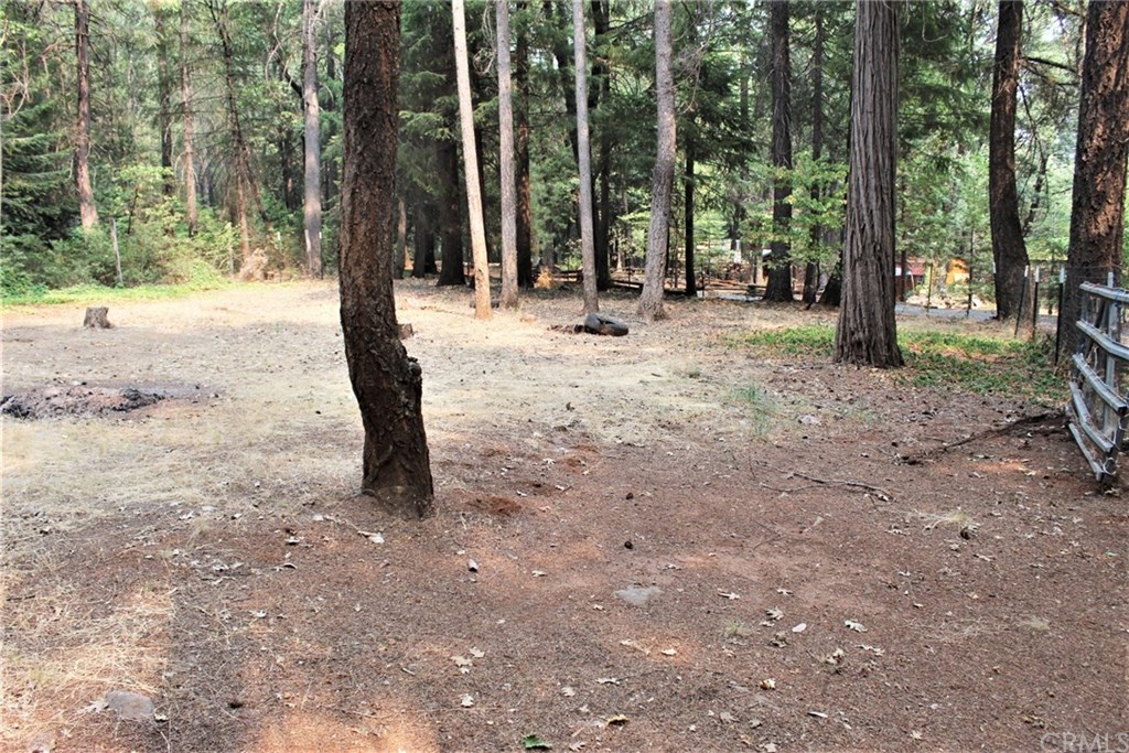 16772 Homeplace Loop Forest Ranch, CA 95942 - Photo 49 of 52 Gallery Image 49