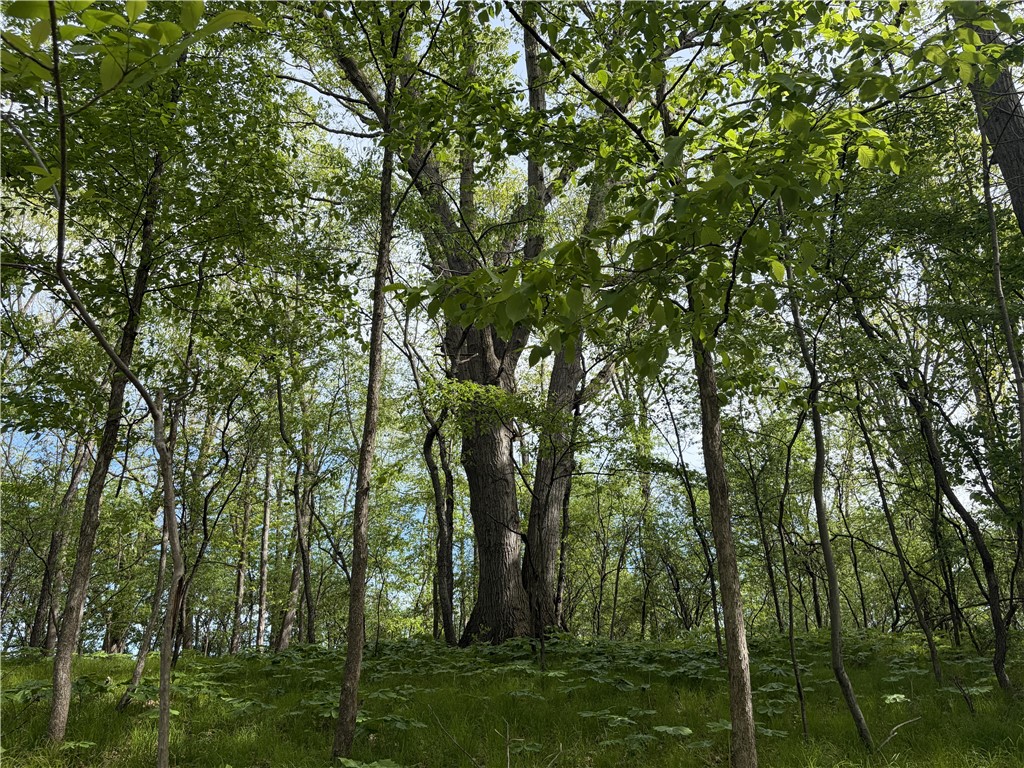 200 Spring Street Caledonia, NY 14423 - Photo 45 of 50