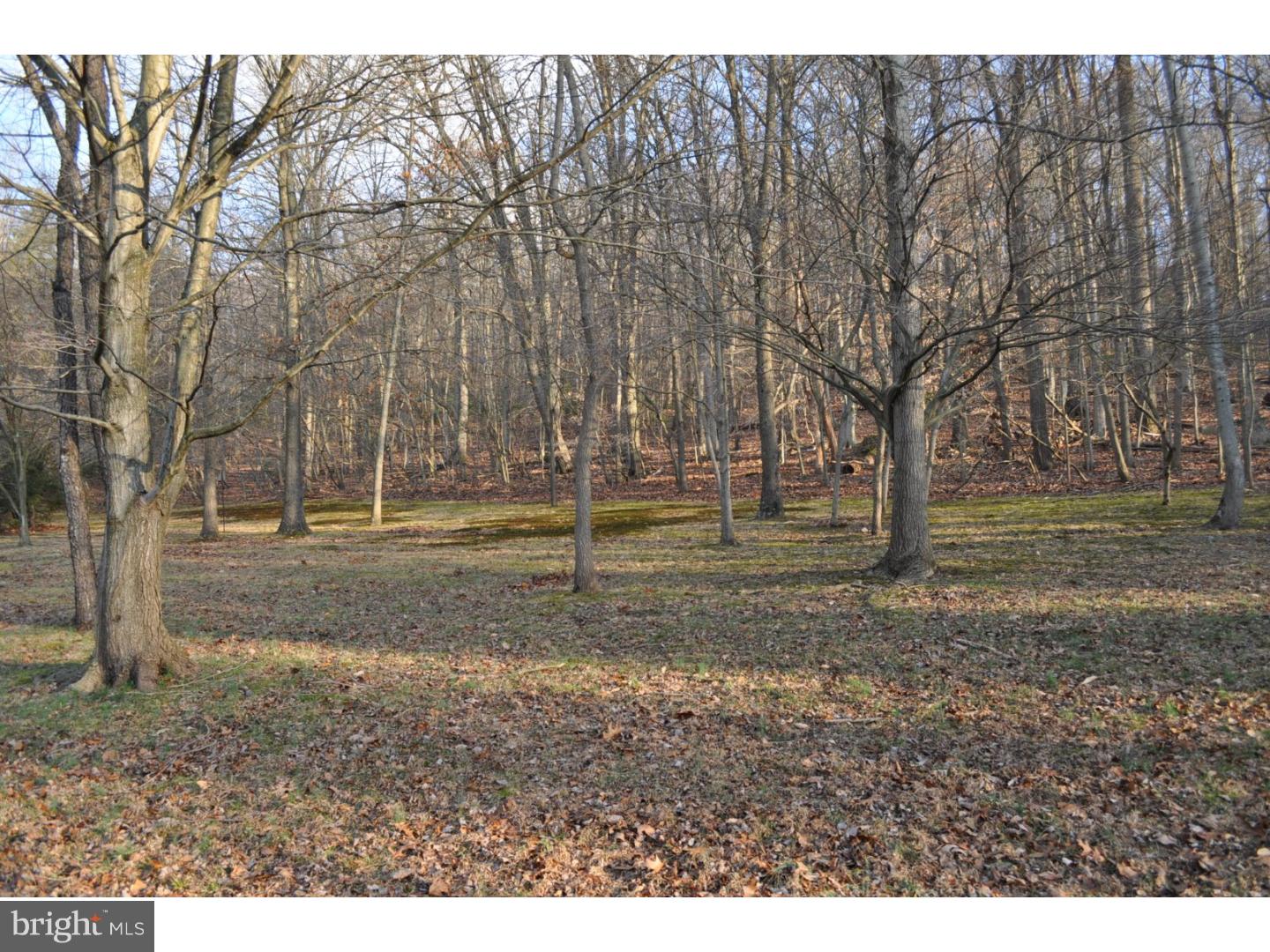 Lot 3 Dowlin Forge Road Downingtown, PA 19335 - Photo 1 of 2 Gallery Image 1