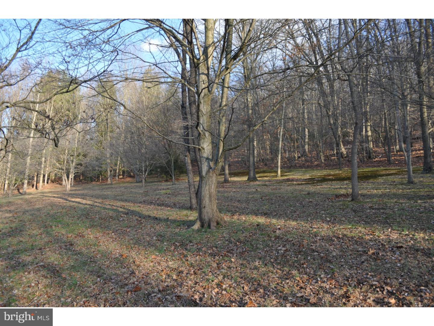 Lot 3 Dowlin Forge Road Downingtown, PA 19335 - Photo 2 of 2 Gallery Image 2