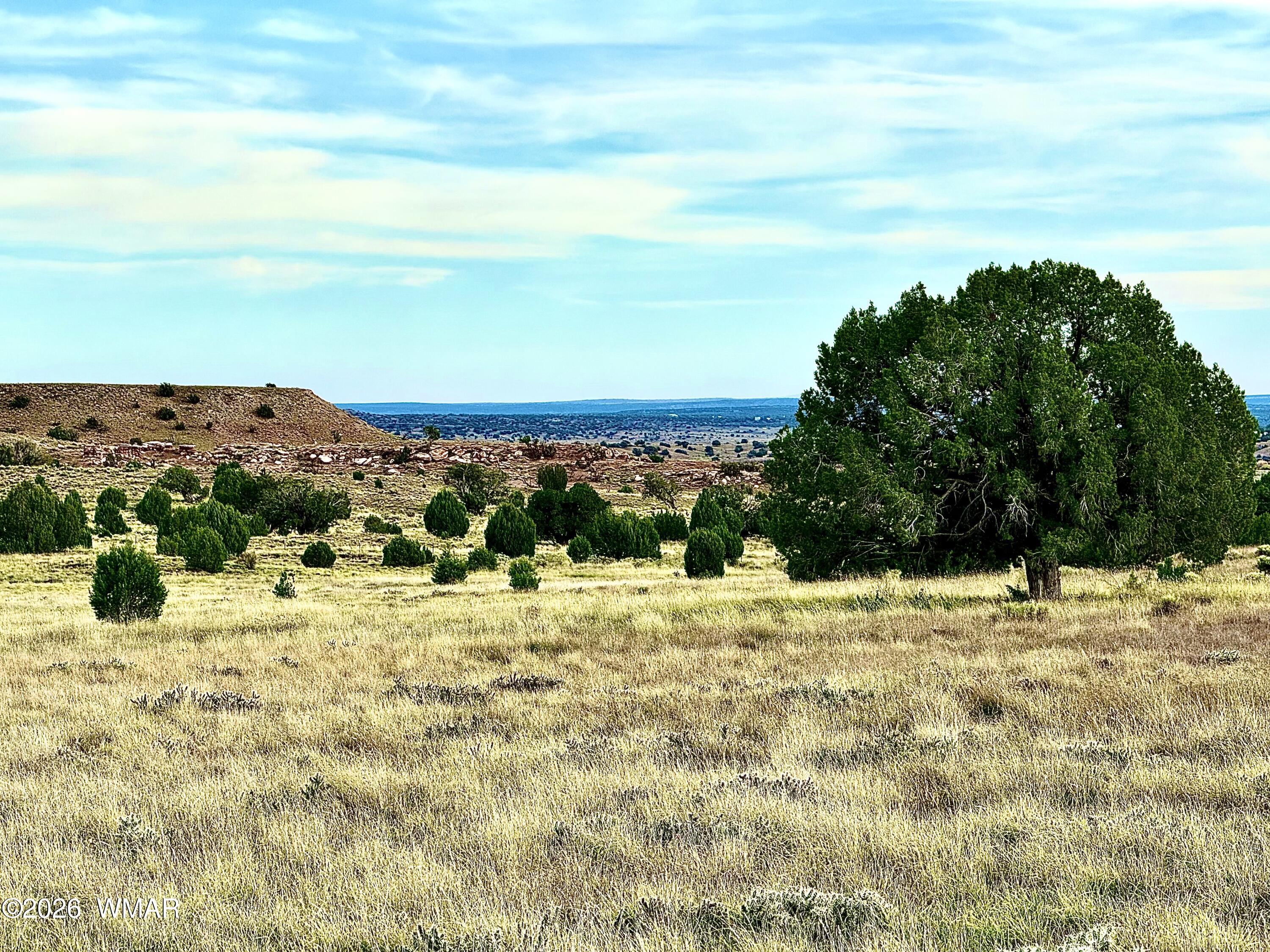 228 County Road Concho, AZ 85924 - Photo 7 of 19 06