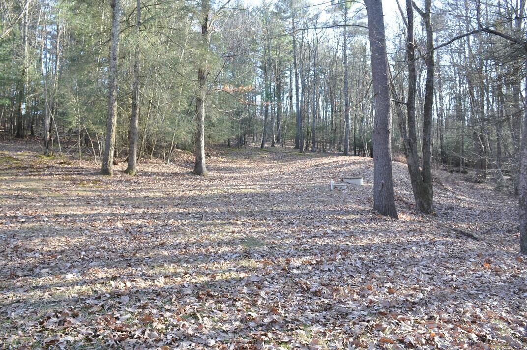 521 Pine Ridge Road Stroudsburg, PA 18360 - Photo 5 of 21 Side yard with view of sandmound