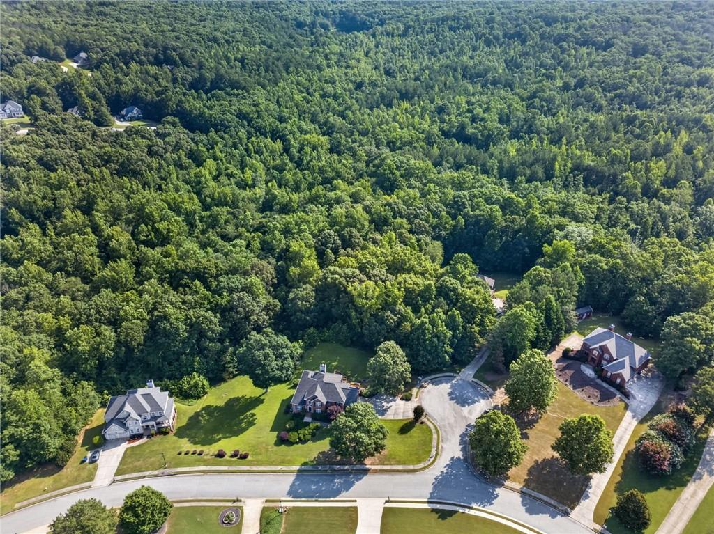 4631 Crooked Creek Lane Villa Rica, GA 30180 - Photo 60 of 60
