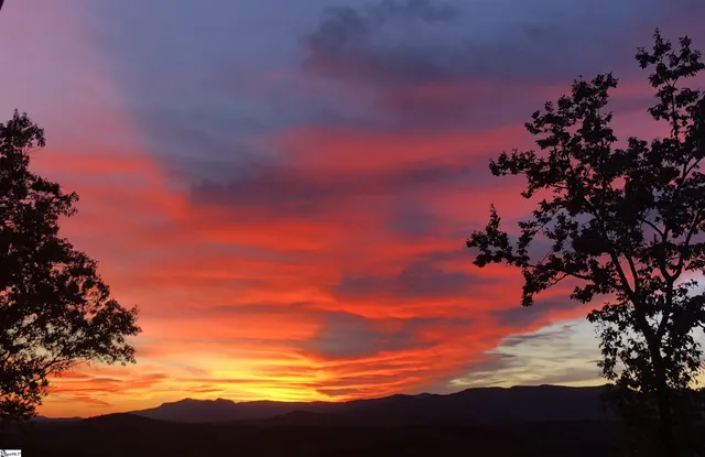 $3,375,000 | 156 Cherokee Rose Trail, Marietta, SC 29661