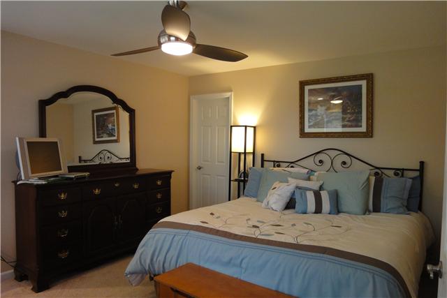 1913 Clara Mathis Road Spring Hill, TN 37174 - Photo 8 of 20 Master Bedroom