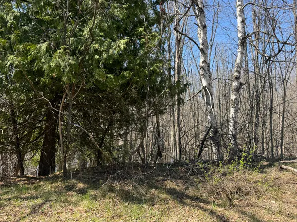 $169,900 | 5084 Sandy Run Road, Sears, MI 49679