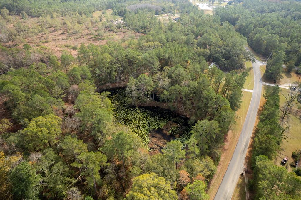 5658 Snake Nation Road Hahira, GA 31632 - Photo 1 of 5 Gallery Image 1