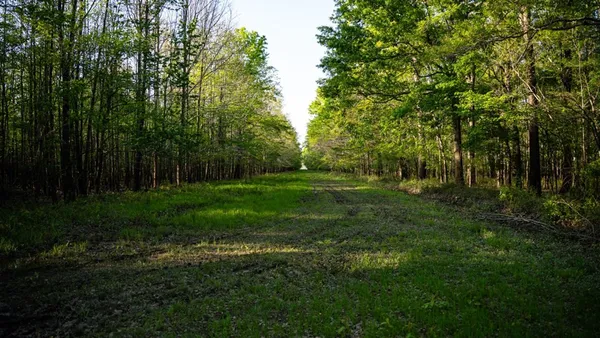 $7,950,000 | 860 Floweree Road, Redwood, MS 39156