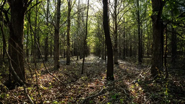 $7,950,000 | 860 Floweree Road, Redwood, MS 39156