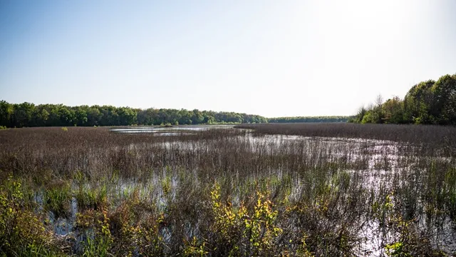 $7,950,000 | 860 Floweree Road, Redwood, MS 39156