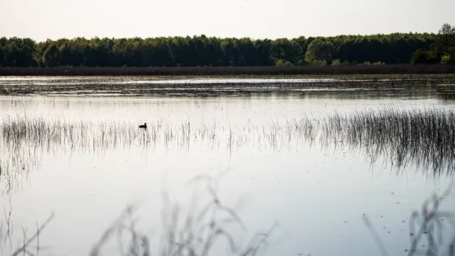 $7,950,000 | 860 Floweree Road, Redwood, MS 39156