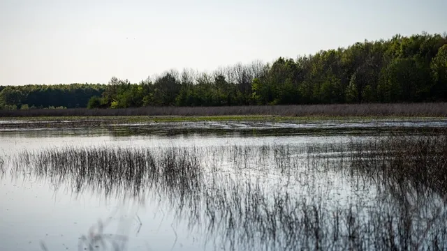 $7,950,000 | 860 Floweree Road, Redwood, MS 39156