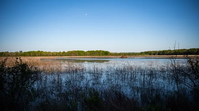 $7,950,000 | 860 Floweree Road, Redwood, MS 39156