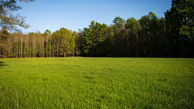 $7,950,000 | 860 Floweree Road, Redwood, MS 39156