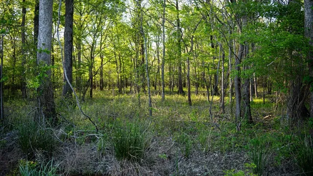 $7,950,000 | 860 Floweree Road, Redwood, MS 39156