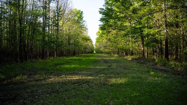 $7,950,000 | 860 Floweree Road, Redwood, MS 39156