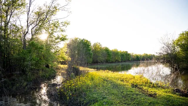 $7,950,000 | 860 Floweree Road, Redwood, MS 39156