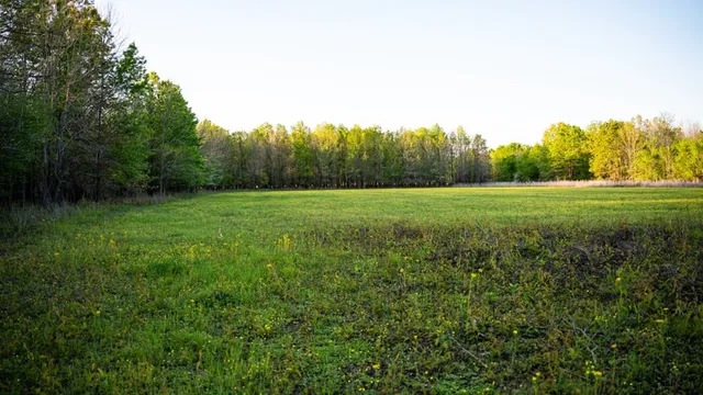 $7,950,000 | 860 Floweree Road, Redwood, MS 39156