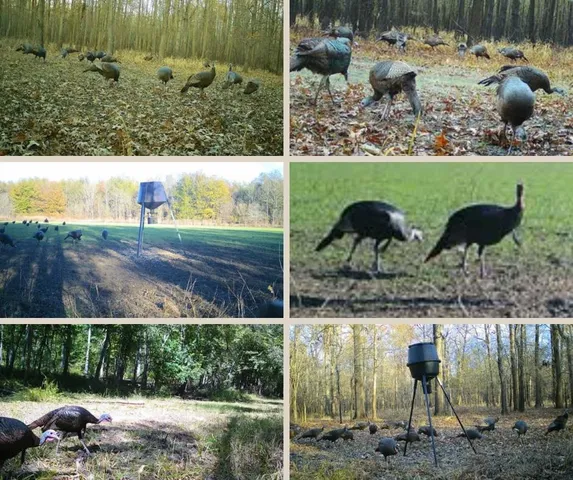 $7,950,000 | 860 Floweree Road, Redwood, MS 39156