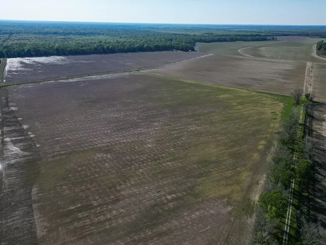 $7,950,000 | 860 Floweree Road, Redwood, MS 39156