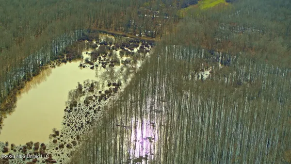 $7,950,000 | 860 Floweree Road, Redwood, MS 39156