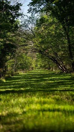 $7,950,000 | 860 Floweree Road, Redwood, MS 39156