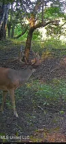 $7,950,000 | 860 Floweree Road, Redwood, MS 39156