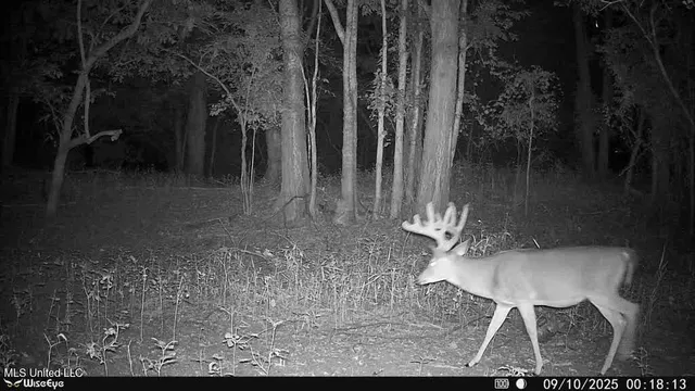 $7,950,000 | 860 Floweree Road, Redwood, MS 39156