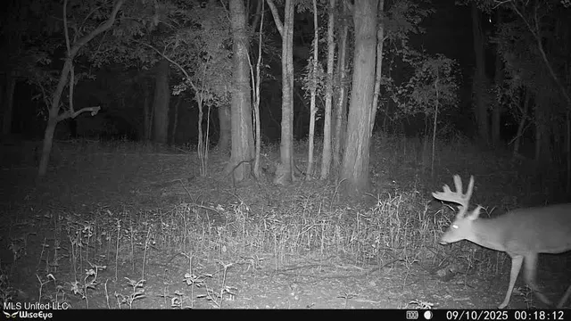 $7,950,000 | 860 Floweree Road, Redwood, MS 39156