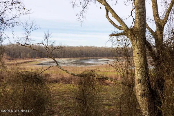 $7,950,000 | 860 Floweree Road, Redwood, MS 39156