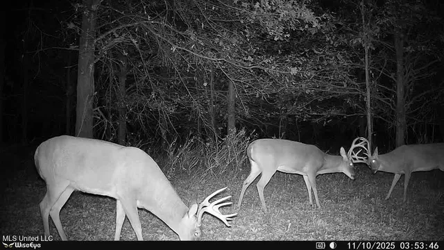 $7,950,000 | 860 Floweree Road, Redwood, MS 39156