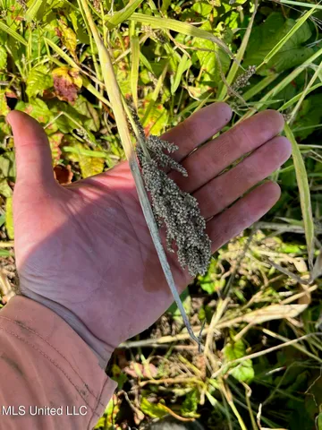 $7,950,000 | 860 Floweree Road, Redwood, MS 39156