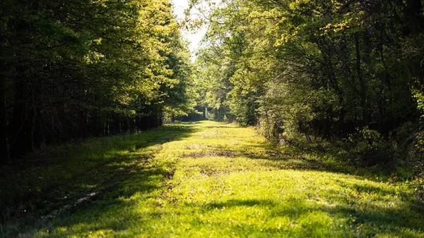 $7,950,000 | 860 Floweree Road, Redwood, MS 39156