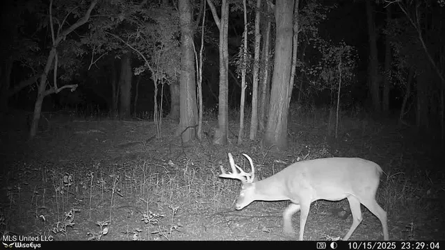 $7,950,000 | 860 Floweree Road, Redwood, MS 39156