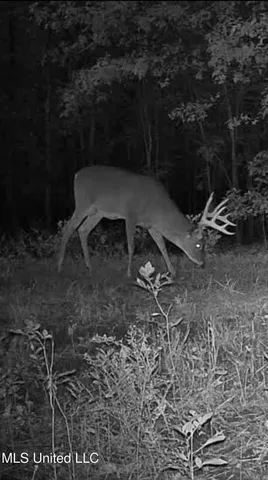 $7,950,000 | 860 Floweree Road, Redwood, MS 39156