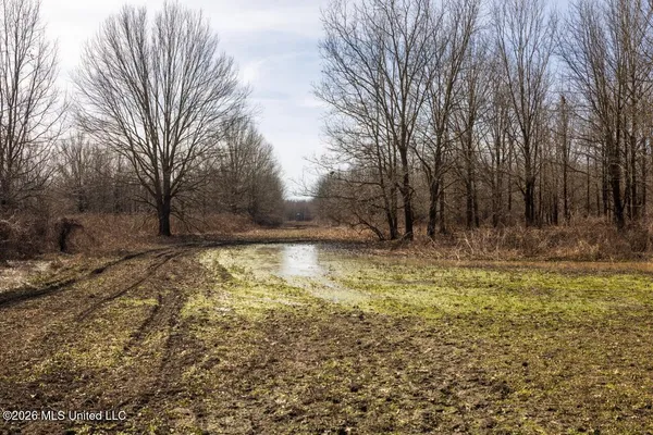 $7,950,000 | 860 Floweree Road, Redwood, MS 39156