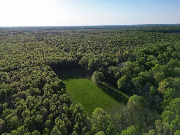 $7,950,000 | 860 Floweree Road, Redwood, MS 39156