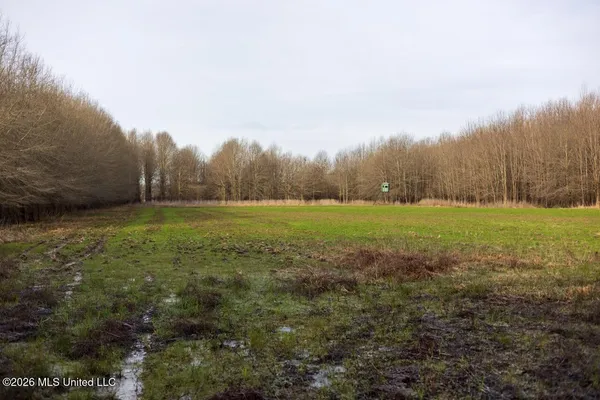 $7,950,000 | 860 Floweree Road, Redwood, MS 39156