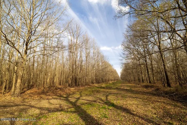$7,950,000 | 860 Floweree Road, Redwood, MS 39156