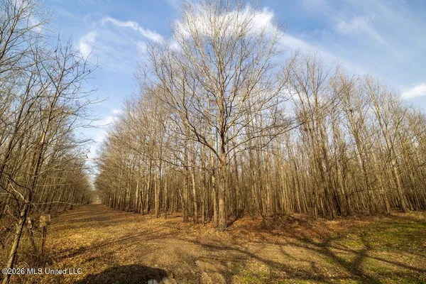 $7,950,000 | 860 Floweree Road, Redwood, MS 39156