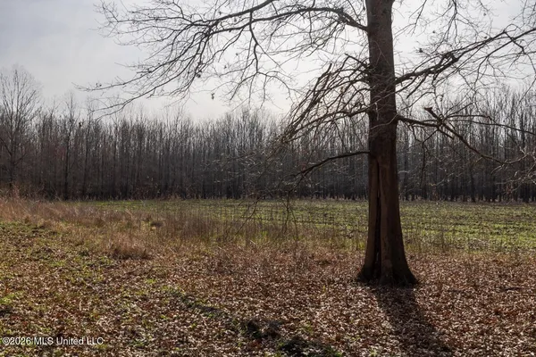 $7,950,000 | 860 Floweree Road, Redwood, MS 39156