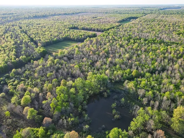 $7,950,000 | 860 Floweree Road, Redwood, MS 39156