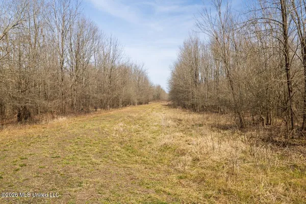 $7,950,000 | 860 Floweree Road, Redwood, MS 39156