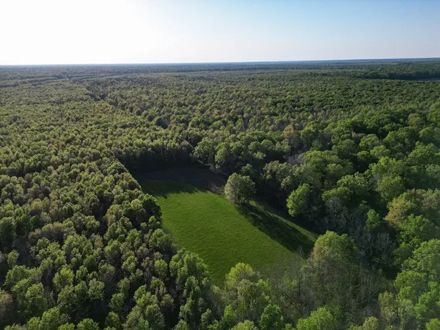 $7,950,000 | 860 Floweree Road, Redwood, MS 39156