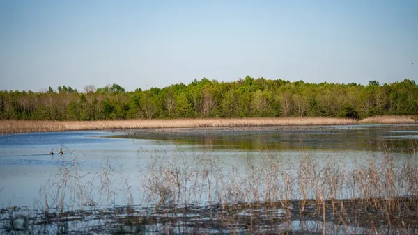 $7,950,000 | 860 Floweree Road, Redwood, MS 39156