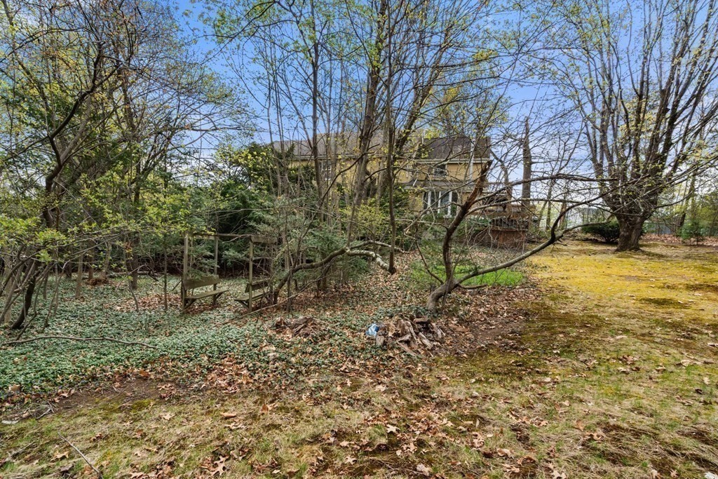 21 Columbus Street Lexington, MA 02421 - Photo 17 of 26 a view of yard with large trees