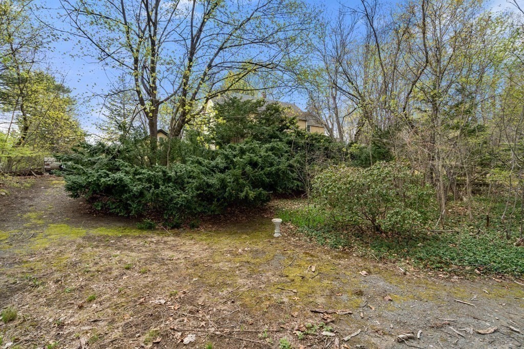 21 Columbus Street Lexington, MA 02421 - Photo 18 of 26 a view of backyard with green space